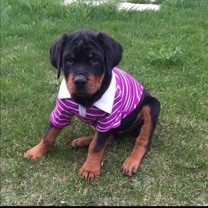 Meet your Posher, Cassie